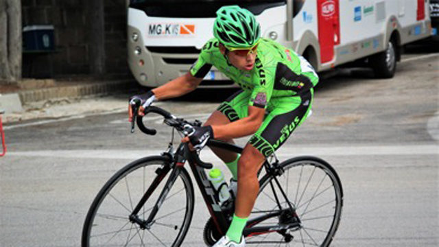 aštrus vadovauti nutukimas vejus - abouncingandslidingcompany.com