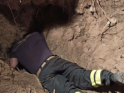 Fragneto Monforte, cane cade nella tana di un tasso: i pompieri lo salvano dopo 10 ore di scavi