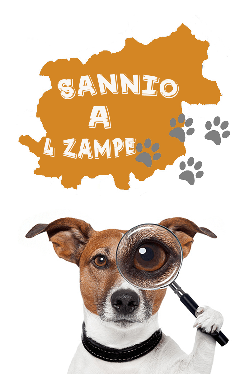 sannio-a-4-zampe