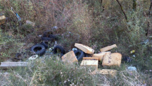 denuncia_fortorina_1