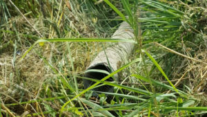 santa_clementina_eternit