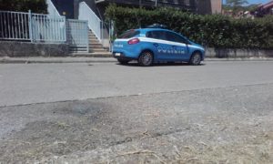 19808001_10209661694080773_99109425_o