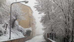 neve