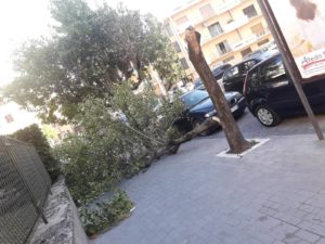 42547274_2146048149002013_8461685309468311552_n