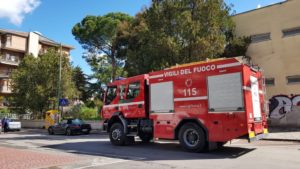 54255174_777750069278234_4598217555037913088_n